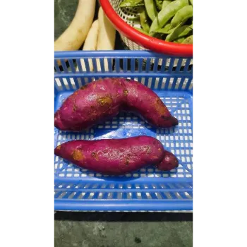 Natural Sweet Potato 